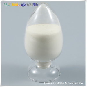 Solfato ferroso monoidrato in polvere di grado/grado industriale